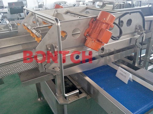 高效智能，绿色健康 现代化净菜加工设备与生产线的革新与应用