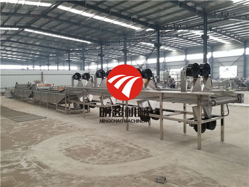 净菜与柔性材料加工设备 智能升级如何破解人工操作困局